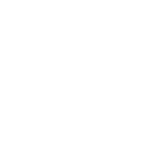 NeuroProcess Solutions Logo - Excel Performance Guide